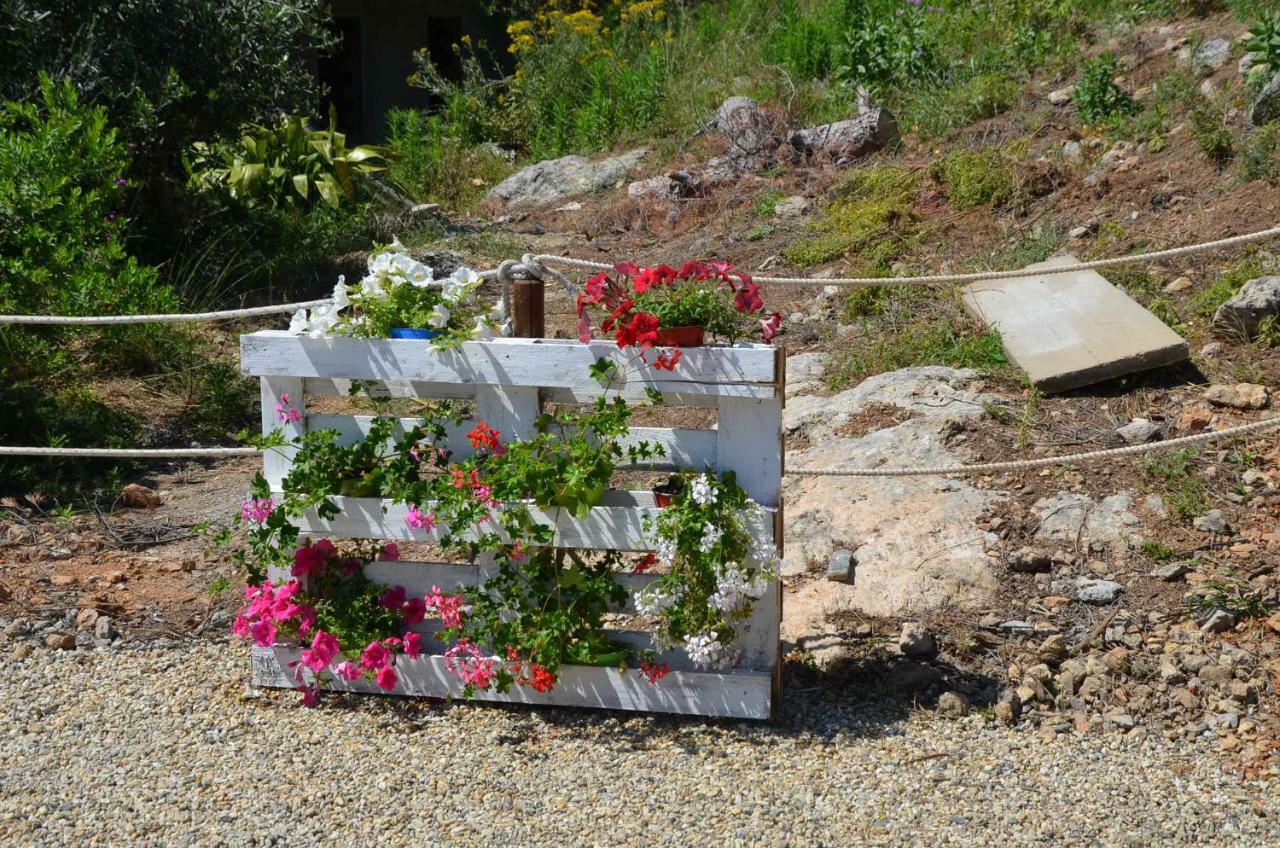Agriturismo Tendapiccola チェリアーレ エクステリア 写真