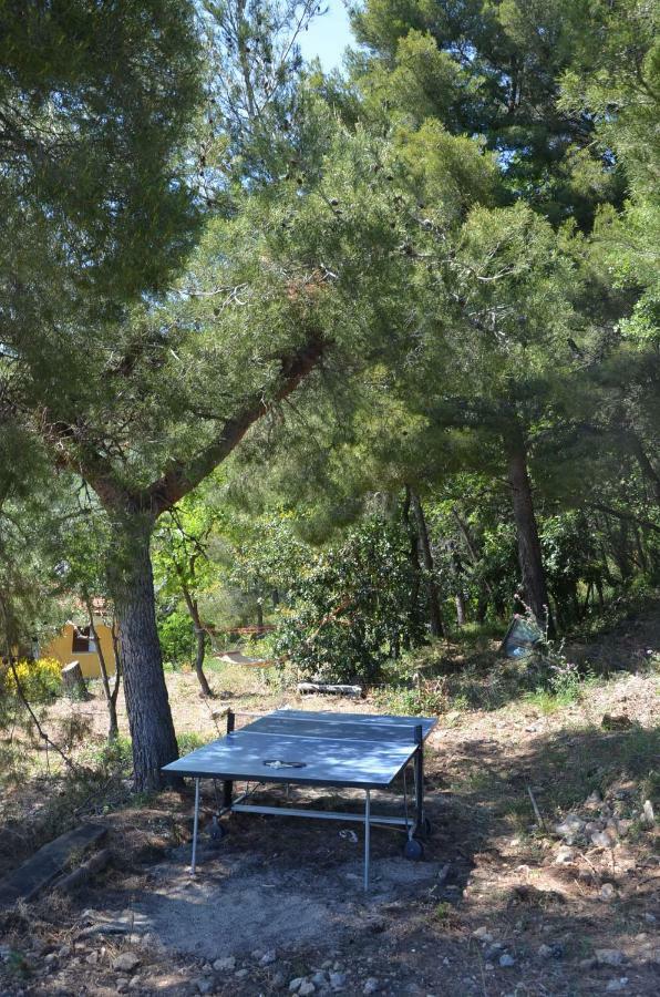 Agriturismo Tendapiccola チェリアーレ エクステリア 写真