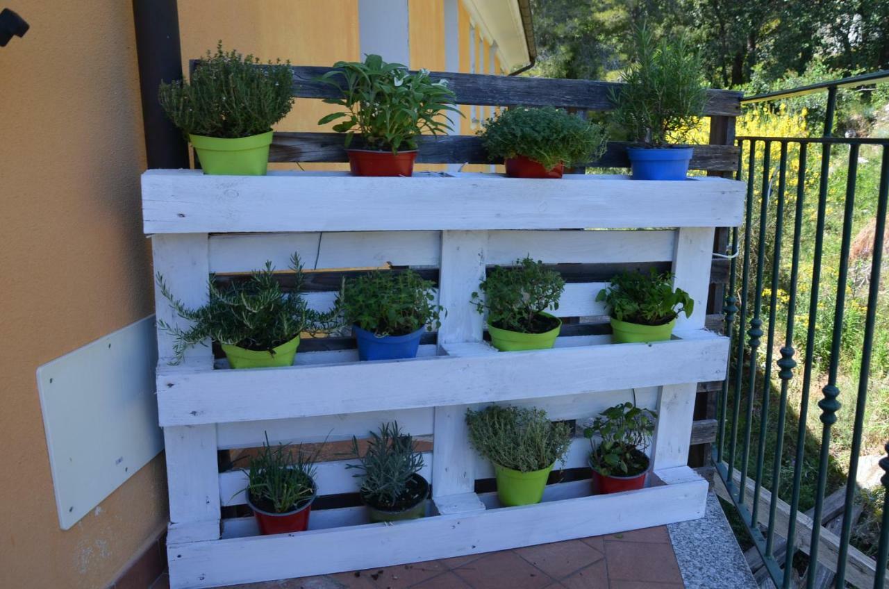 Agriturismo Tendapiccola チェリアーレ エクステリア 写真