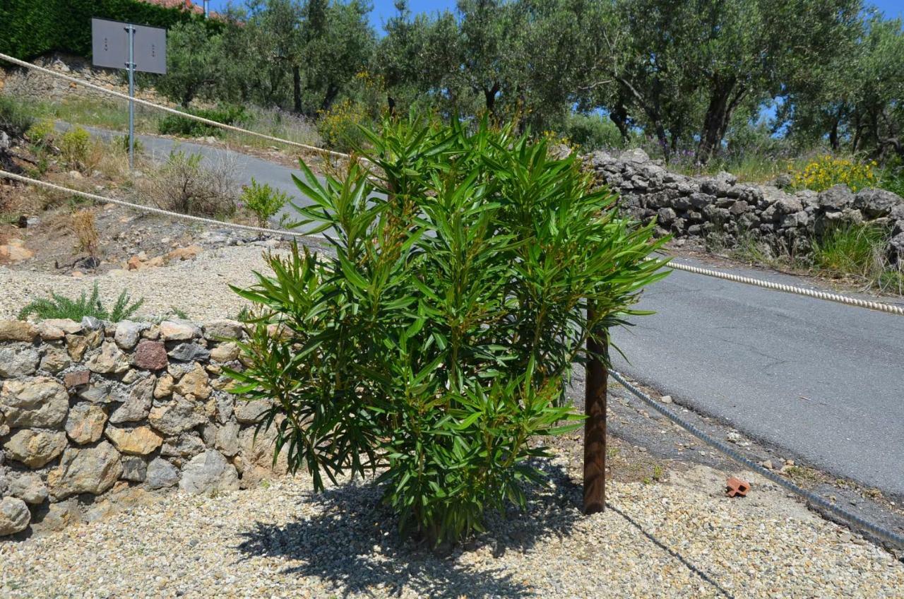 Agriturismo Tendapiccola チェリアーレ エクステリア 写真